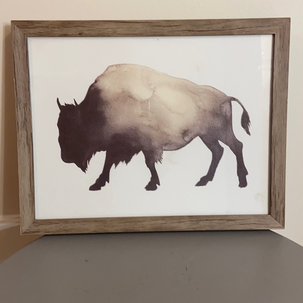 Rustic American Buffalo Wall Art